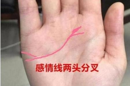 光莲命理揭秘：八字如何影响命运？能改运吗？合婚时最关键的要素是什么？