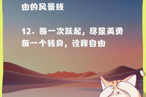 世界滑板日：滑动青春，释放自由精神