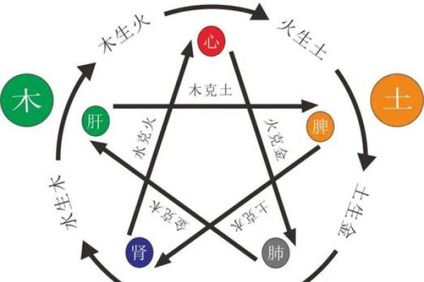 五行格局如何影响性格？2009年出生的你，如何找到最佳发展路径？