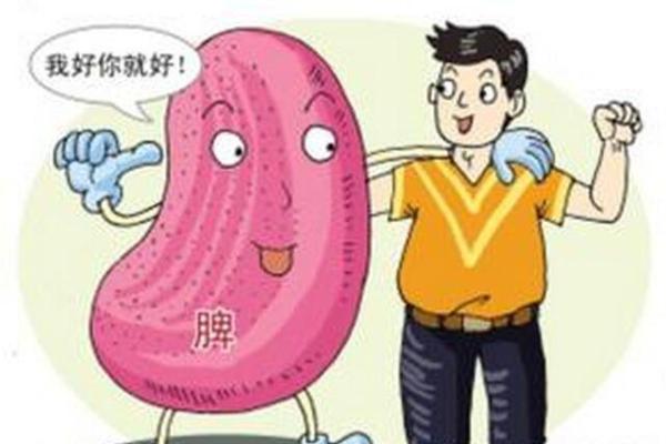 如何改变五行格局？脾土性格逆袭指南