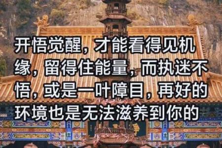 普陀山朝圣：寻找心灵净土，感悟佛教养生哲学