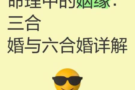 吕氏命理下载：命运不同如何解析？八字合婚的关键因素