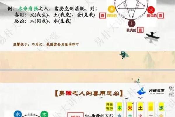 如何改变命运？探秘丹五行性格解析中的关键格局