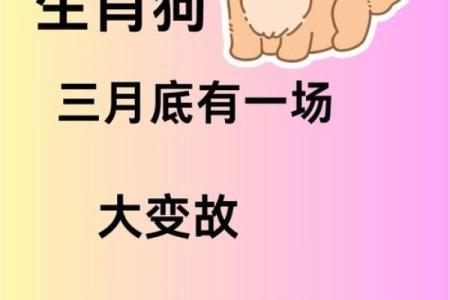 八字揭秘：命理中狗的人如何突破命运的限制