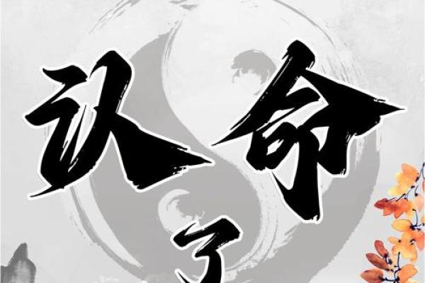 亥日命理大揭秘：命运不同的你，如何通过八字改变运势？