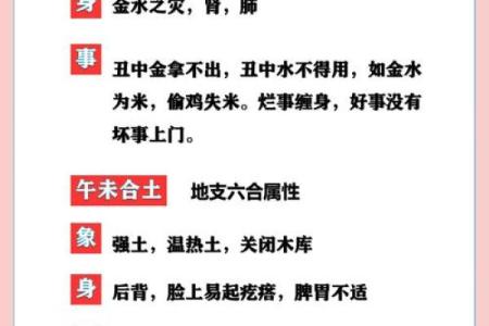 颠覆五行认知：悦五行属性如何改变你的性格与命运