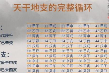 揭示八字命理真相：合婚看什么能有效改运？
