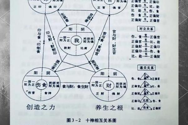 理数影响命运，解析八字如何帮助你发现潜力
