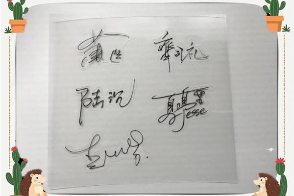 性格解析新视角：五行属水10画字揭秘，如何调整格局成就非凡？