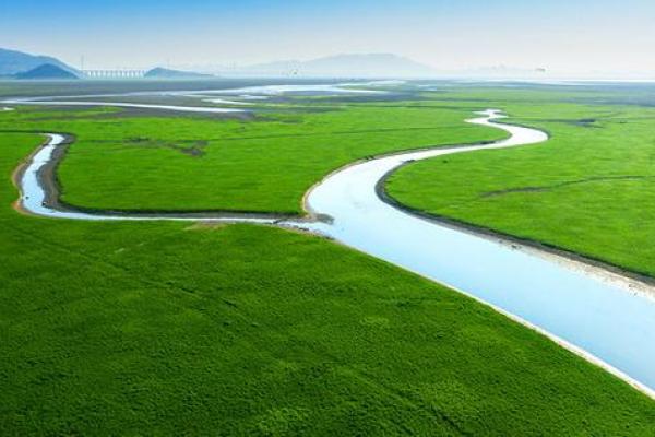 湿地日：探索湿地文化，守护绿色家园