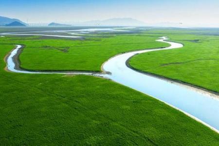湿地日：探索湿地文化，守护绿色家园