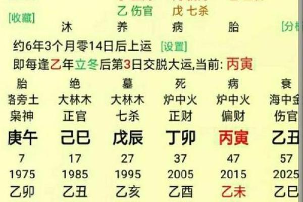解析手掌命理线的奥秘：如何通过它改变运势，合婚时该注意什么？