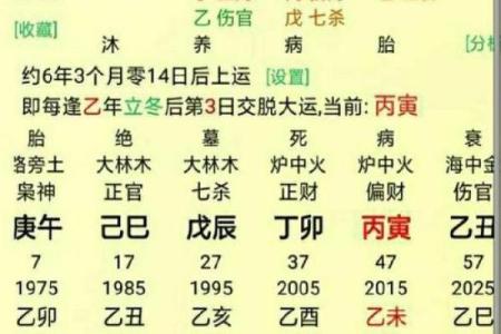 解析手掌命理线的奥秘：如何通过它改变运势，合婚时该注意什么？
