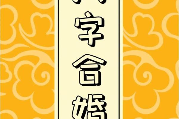 合婚看什么？命理婚姻预测能改变你的命运吗？