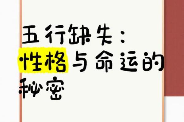 性格解析：五行教你如何找到最适合你的生活方式