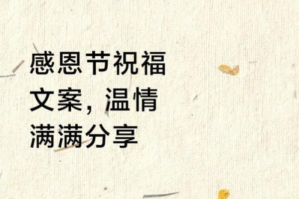 感恩节：分享与感恩，重温家庭温情