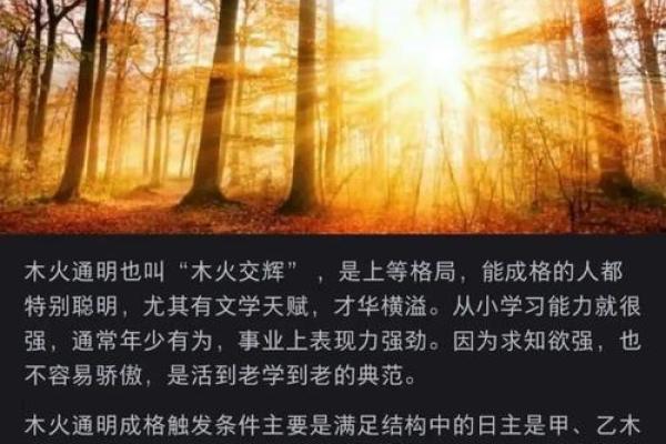 五行格局深度解读：避开性格解析的陷阱，找到你的真实自我