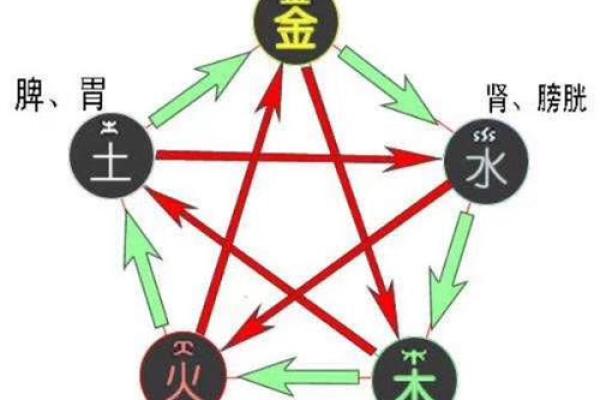 走出五行格局误区，探索你的性格新方向