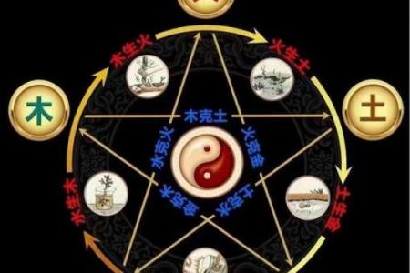 性格解析新视角：五行十四画，揭秘你的命运走向