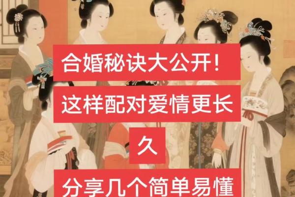 男爱女命理揭秘：如何通过八字合婚看能否改运