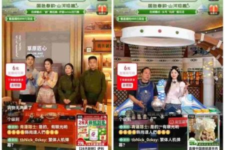 网络双消费文化与数字经济的节日盛宴