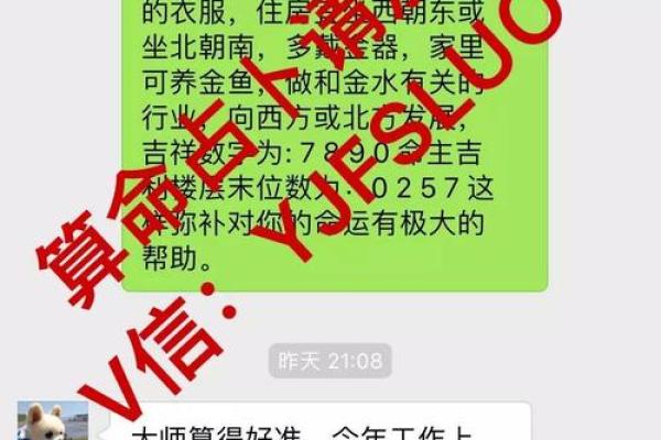 揭示狗肖命理：能改运吗？合婚时必看的命理因素