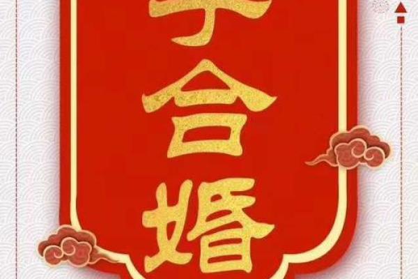 揭秘八字命理：合婚要看什么？为什么每个人的命运如此不同