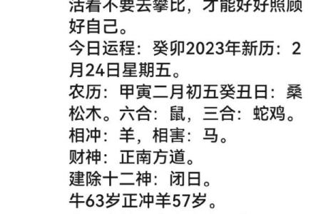刘嘉玲八字命理解析：如何通过合婚看命运的不同