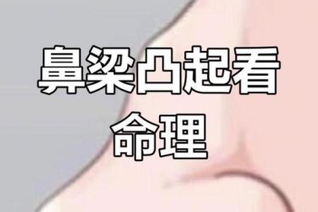 命理带阳山，命运不同如何影响婚姻与事业？
