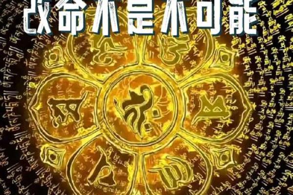 命理全揭秘：解答命运不同的秘密，能改运吗？