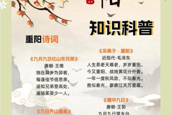重阳节：登高远眺，传承敬老文化