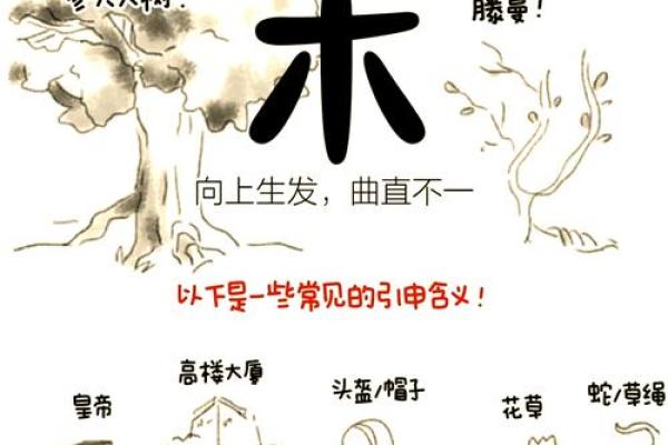 敦字五行格局揭秘：性格解析与如何改变运势