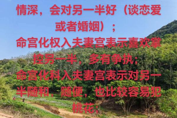 解析山上火命理：命运真的能改变吗？合婚时应该注意什么？