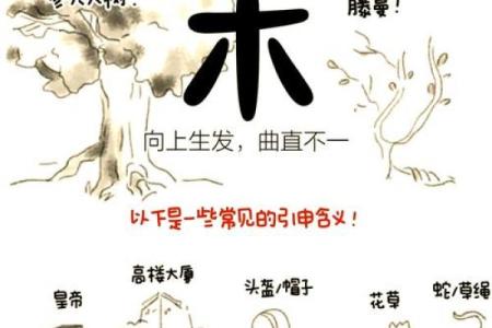 敦字五行格局揭秘：性格解析与如何改变运势
