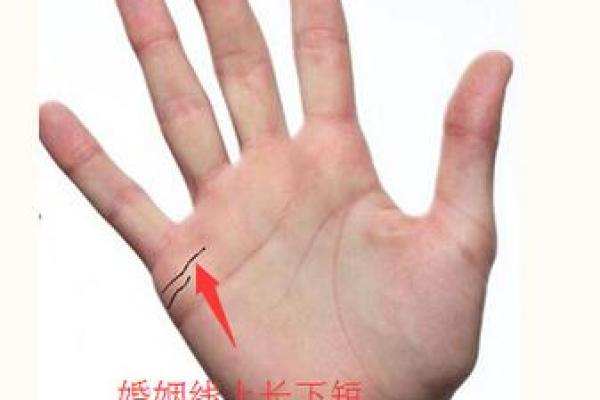 解析时尚牡丹命理：命运不同的人，八字如何影响运势和婚姻？