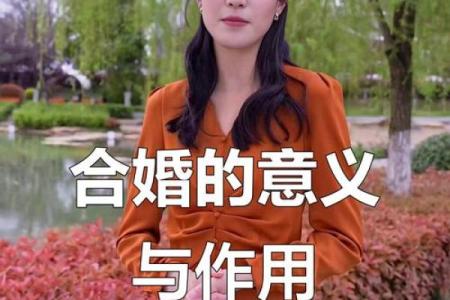 揭秘命理分析：能改运吗？合婚看什么？命运不同如何应对