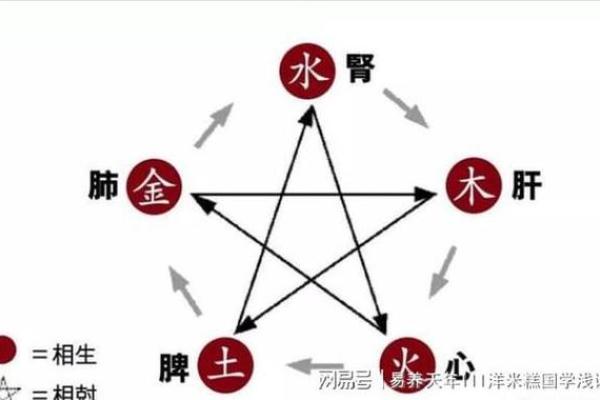 性格解析新视角——亦的五行格局，你了解多少？