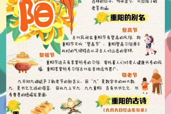 重阳：登高望远，弘扬敬老文化
