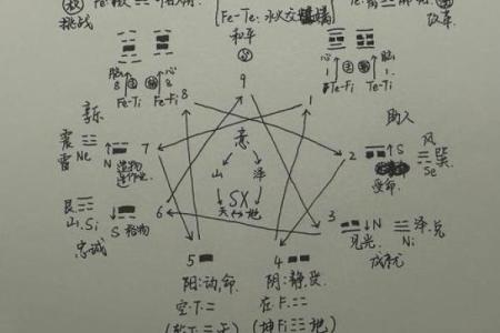 性格解析新视角——亦的五行格局，你了解多少？