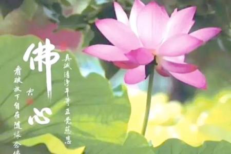 佛诞节：弘扬慈悲精神，传承佛教文化
