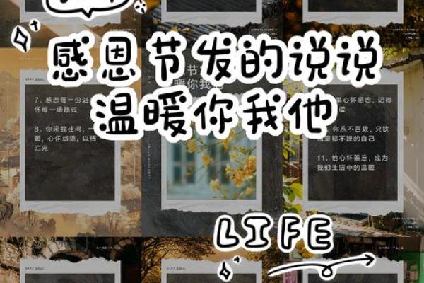 感恩节：团聚与感谢，品味美国节日的温情与习俗