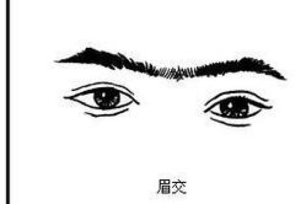 性格解析新视角：天运五行如何影响你的命运走向？
