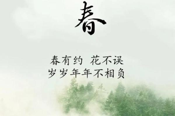 立春：迎春纳福，感受自然变化