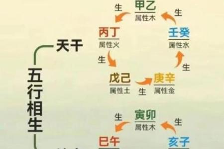 揭秘地支五行格局：你的性格解析与命运走向
