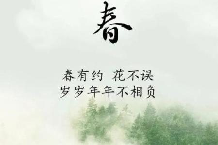 立春：迎春纳福，感受自然变化