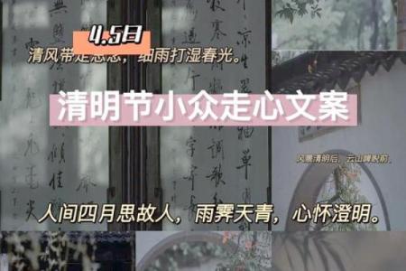 清明：踏青祭祖，感悟生命轮回的深刻意义
