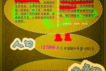 布朗族歌节：传承古老歌谣，体验民族文化