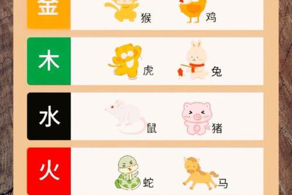 揭秘木鼠五行：性格解析中的误区与如何反而提升运势