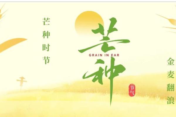 苗族长寿节:祈愿安康,体验养生文化 苗族长寿节:祈愿安康,体验养生文化