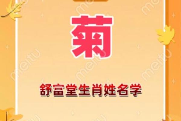 安字五行格局误区解析：别再走进性格成长的陷阱